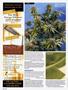 Page: - 120 | High Times