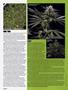 Page: - 48 | High Times