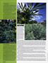 Page: - 52 | High Times