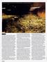 Page: - 54 | High Times