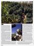 Page: - 56 | High Times