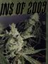Page: - 63 | High Times