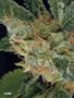 Page: - 70 | High Times
