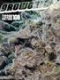 Page: - 93 | High Times