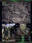 Page: - 94 | High Times
