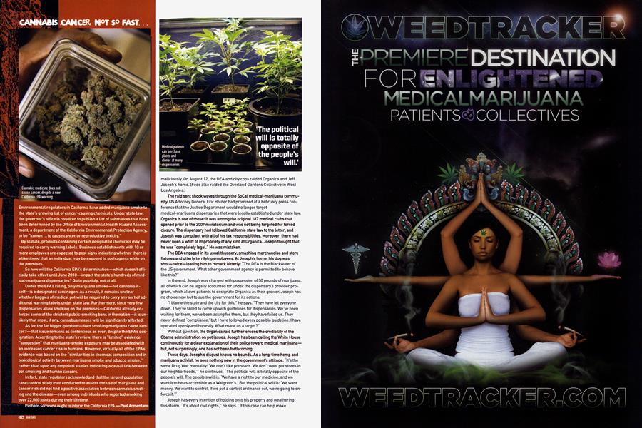 CANNABIS CANCER, NOT SO FAST...