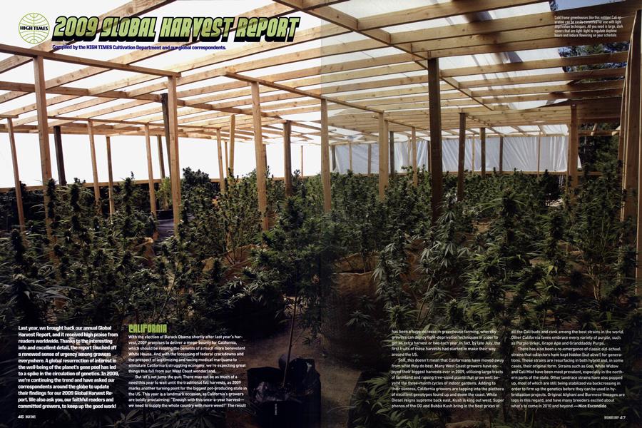 2009 GLOBAL HARVEST REPORT