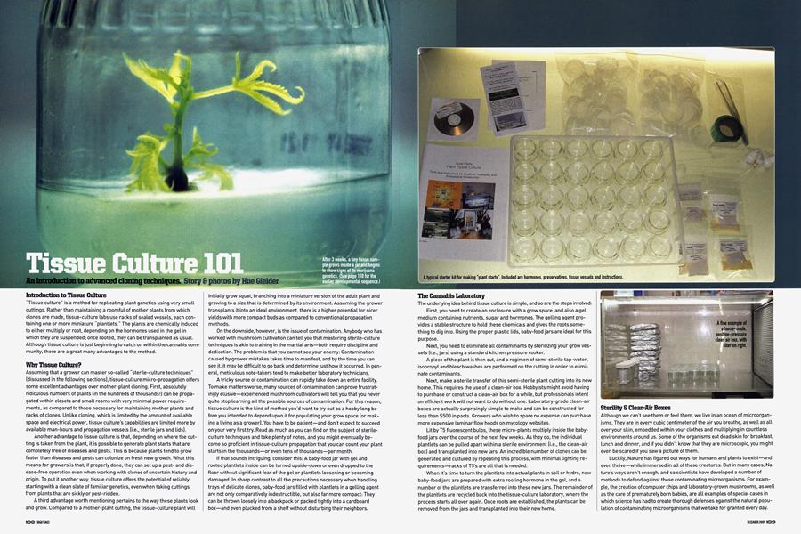 Tissue Culture 101