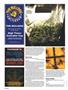 Page: - 120 | High Times