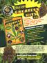 Page: - 133 | High Times