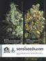 Page: - 2 | High Times