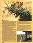 Page: - 42 | High Times