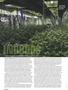 Page: - 52 | High Times