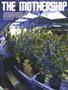 Page: - 62 | High Times