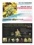 Page: - 97 | High Times