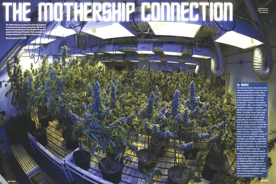 THE MOTHERSHIP CONNECTION