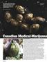 Page: - 108 | High Times