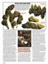 Page: - 42 | High Times