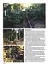 Page: - 54 | High Times