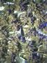 Page: - 67 | High Times
