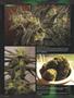 Page: - 94 | High Times
