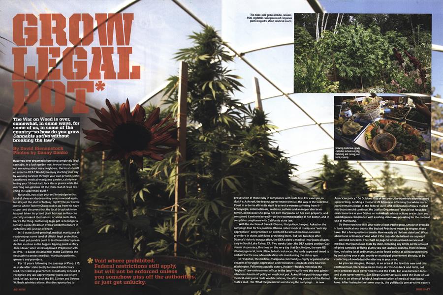 GROW LEGAL POT*