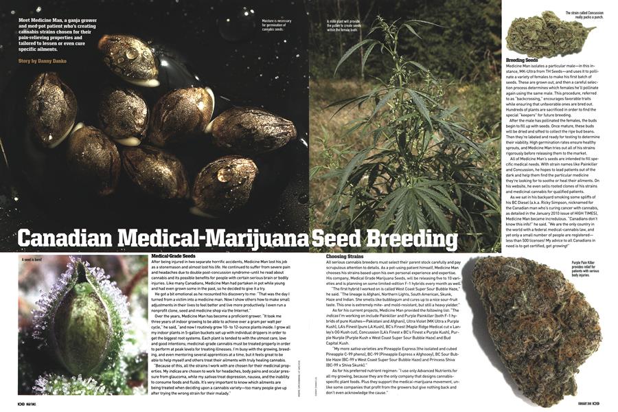 Canadian Medical-Marijuana Seed Breeding