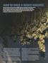 Page: - 110 | High Times