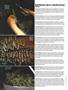 Page: - 112 | High Times