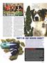 Page: - 13 | High Times