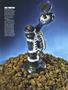 Page: - 47 | High Times