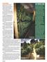 Page: - 64 | High Times