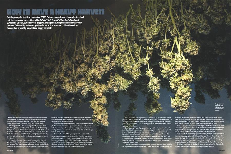 HOW TO HAVE A HEAVY HARVEST