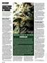 Page: - 100 | High Times