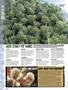 Page: - 12 | High Times