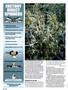 Page: - 120 | High Times