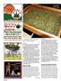 Page: - 122 | High Times