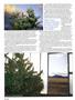 Page: - 38 | High Times