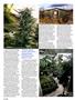 Page: - 40 | High Times