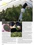 Page: - 42 | High Times