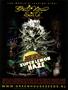 Page: - 45 | High Times