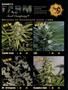 Page: - 54 | High Times