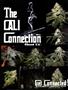 Page: - 79 | High Times