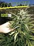 Page: - 95 | High Times