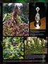 Page: - 98 | High Times