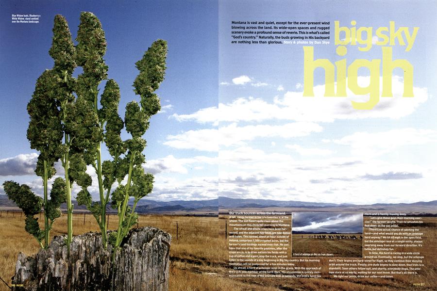 big sky high