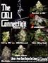 Page: - 07 | High Times