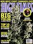 Page: - 1 | High Times