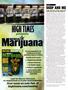 Page: - 106 | High Times