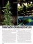 Page: - 110 | High Times